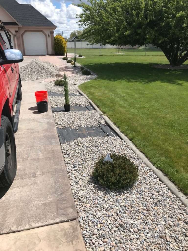 shrubs-rocks-driveway